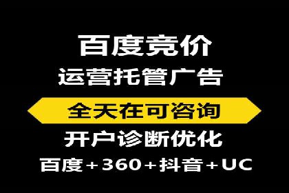 百度推广优化策略：成功案例解析